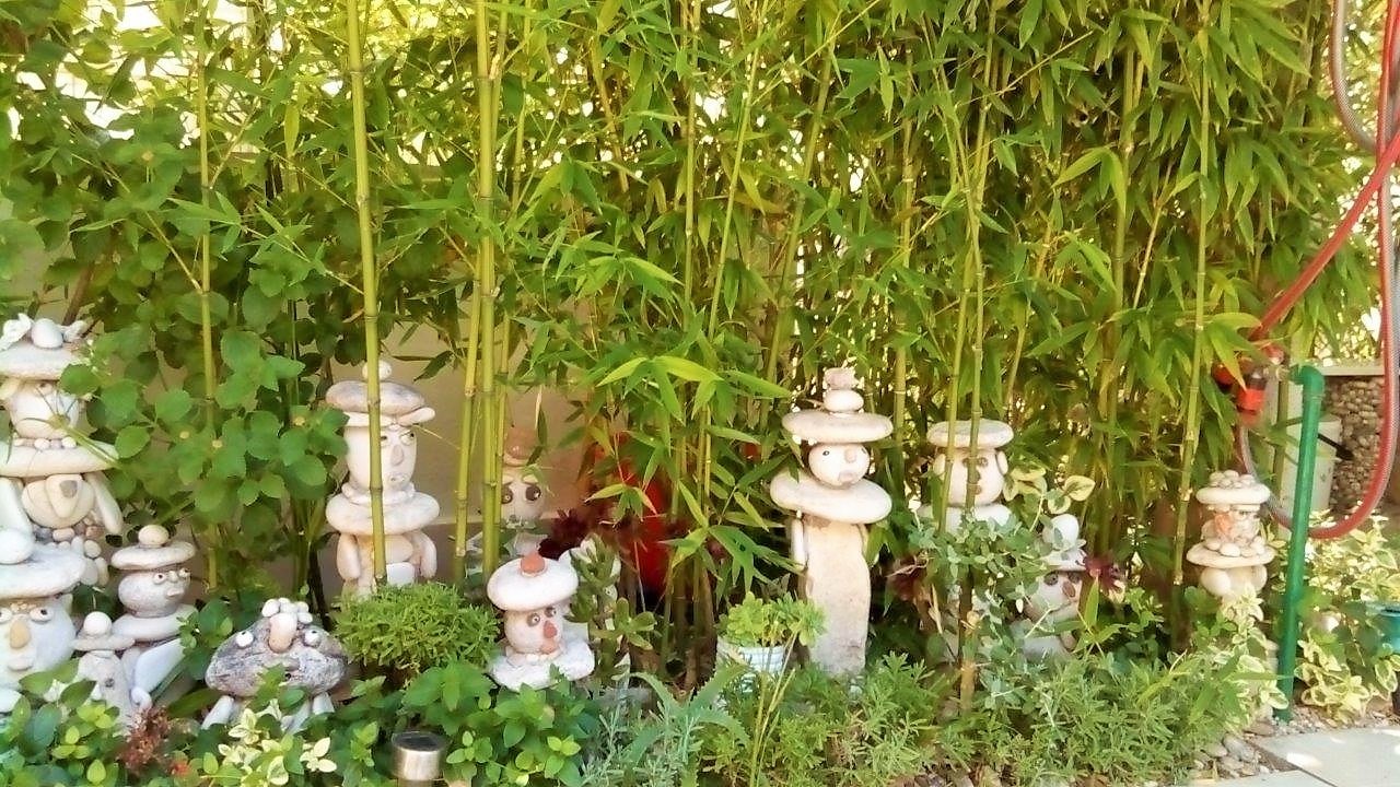 House Rak, Apartments Lac - Vis