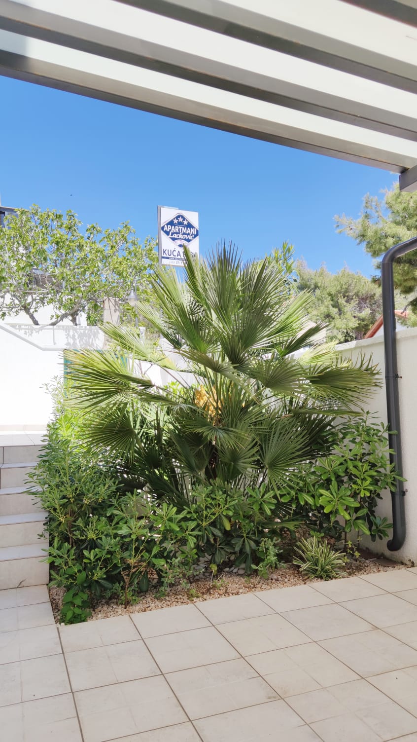 Apartment Riba 1 - House Riba, Vis